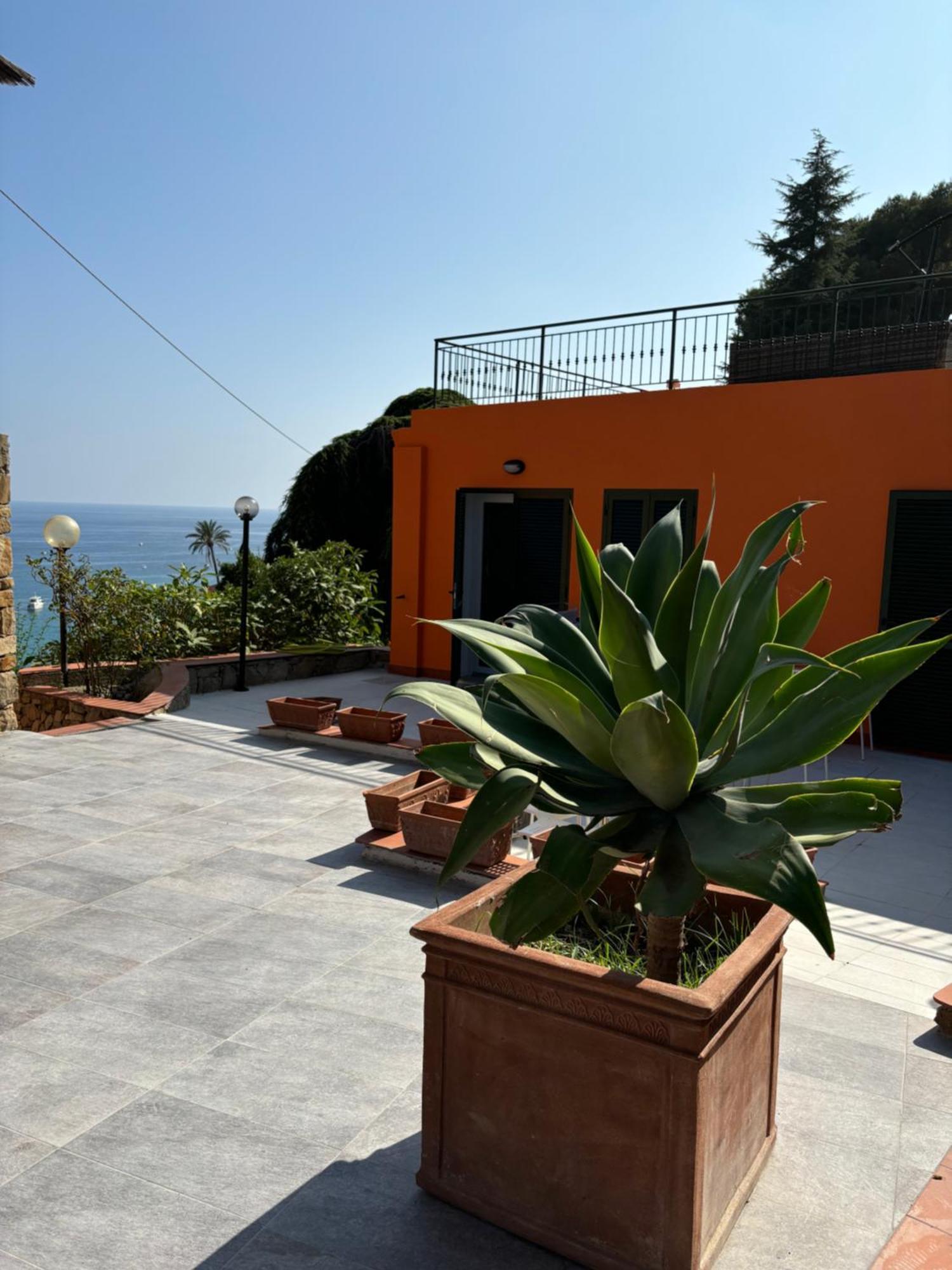 Apartament Il Giardino Del Mare Ventimiglia Zewnętrze zdjęcie